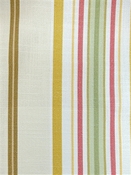 Dorchester 382 Summer Covington Fabric
